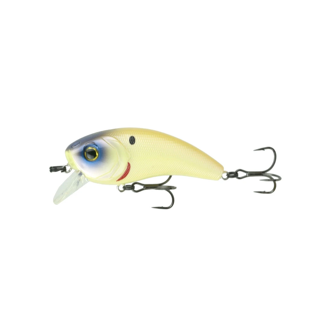 6th Sense Movement Baits