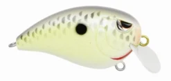 Baits SPRO Fat John 50