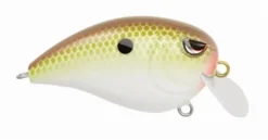Baits SPRO Fat John 50
