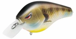 Baits SPRO Fat Papa SB 70