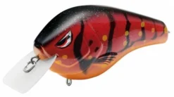 Baits SPRO Fat Papa SB 70