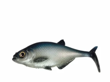 Baits Smash-Tech 7" Line-Thru Gizzard Shad
