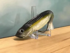 3:16 Lure Company Baits 3:16 Mission Fish