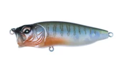 Fishin' World Megabass Popmax