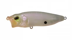 Fishin' World Megabass Popmax