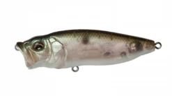 Fishin' World Megabass Popmax