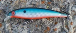 Fishin' World Baits Peacock Minnow 6"
