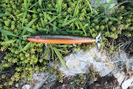 Fishin' World Baits Peacock Top Secret 7"