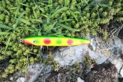 Fishin' World Baits Peacock Top Secret 7