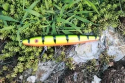 Fishin' World Baits Peacock Top Secret 7