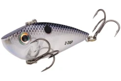 Strike King Red Eyed Shad Tungsten 2-Tap Baits