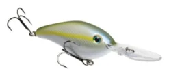 Baits Strike King Pro Model 6XD Crankbait