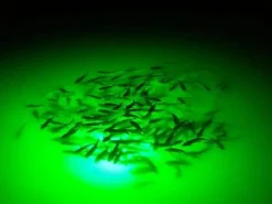 Green Monster Fishing Submersible Light Accessories