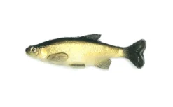 Baits Smash-Tech 6" Weedless Shiner