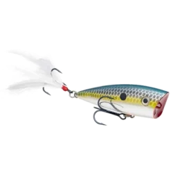 Strike King KVD Splash Jr.